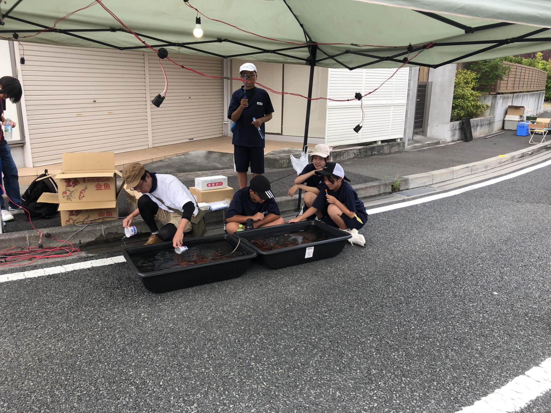 thumbnail_IMG_4901